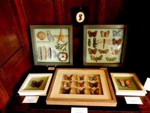 Framed textile artwork by Corinne Young for 'Portrait of a Lady' exhibition at Chawton House Library, October 2016.