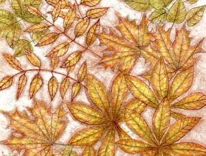 Leaves - Publicity Panels by Corinne Young for the Lord of the Rings Stage Show