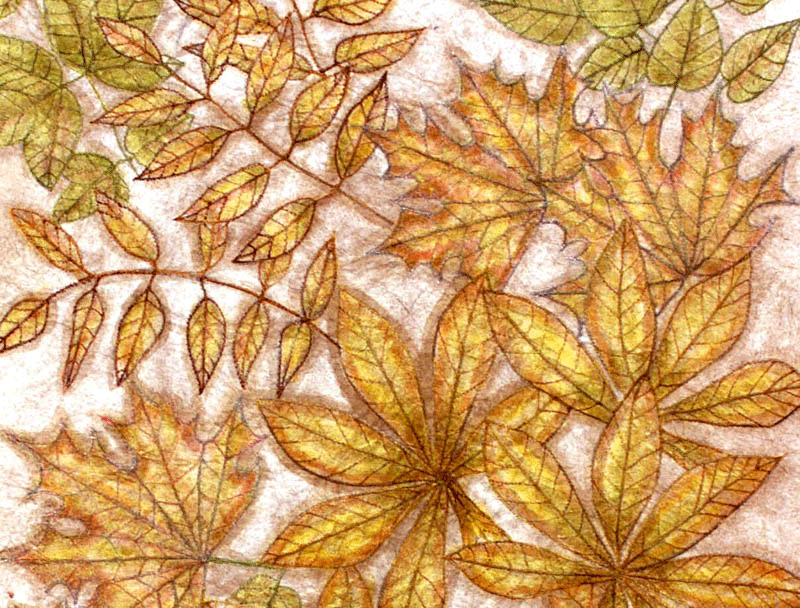 Leaves - Publicity Panels by Corinne Young for the Lord of the Rings Stage Show