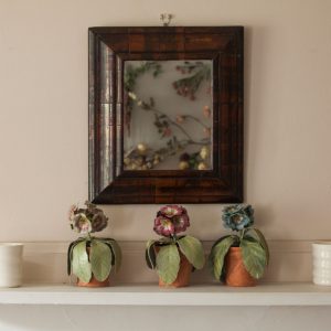 Auricula Pot Plants by Corinne Young from the exhibition Lives, Loves and Loss - Traces at Fenton House. Photo by Sophia Schorr-Kon.