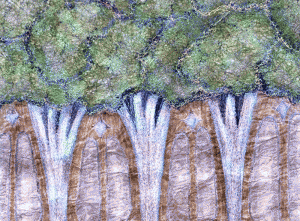 Lothlorien Trees by Corinne Young - Publicity Panels by Corinne Young for the Lord of the Rings Stage Show