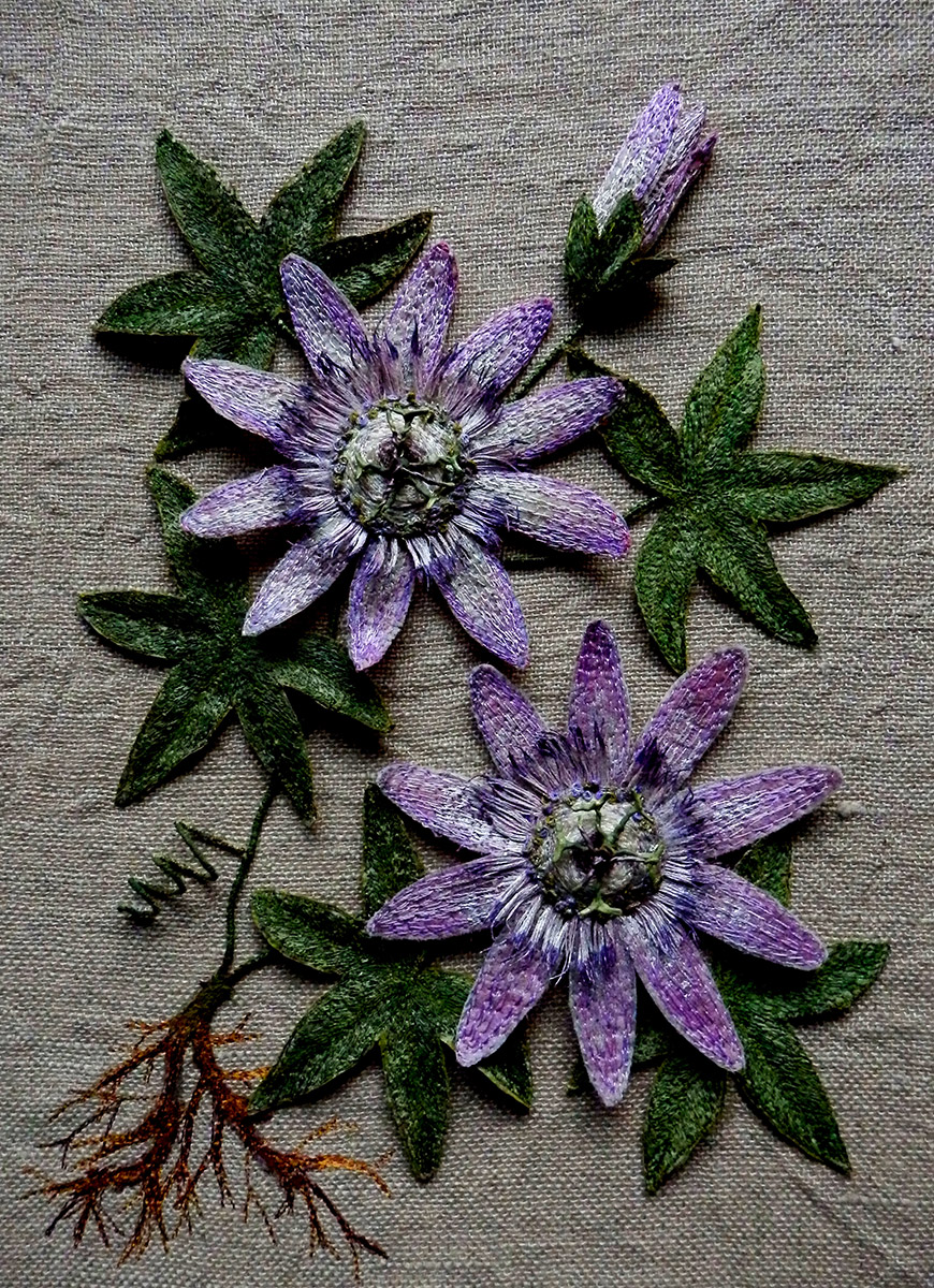 Passion Flowers by Corinne Young at RHS Harlow Carr (2016).