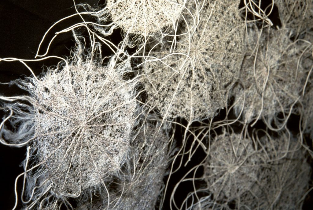 Scabious Paper Moon by Corinne Young - BA (Hons) Textile Design, Bradford College.