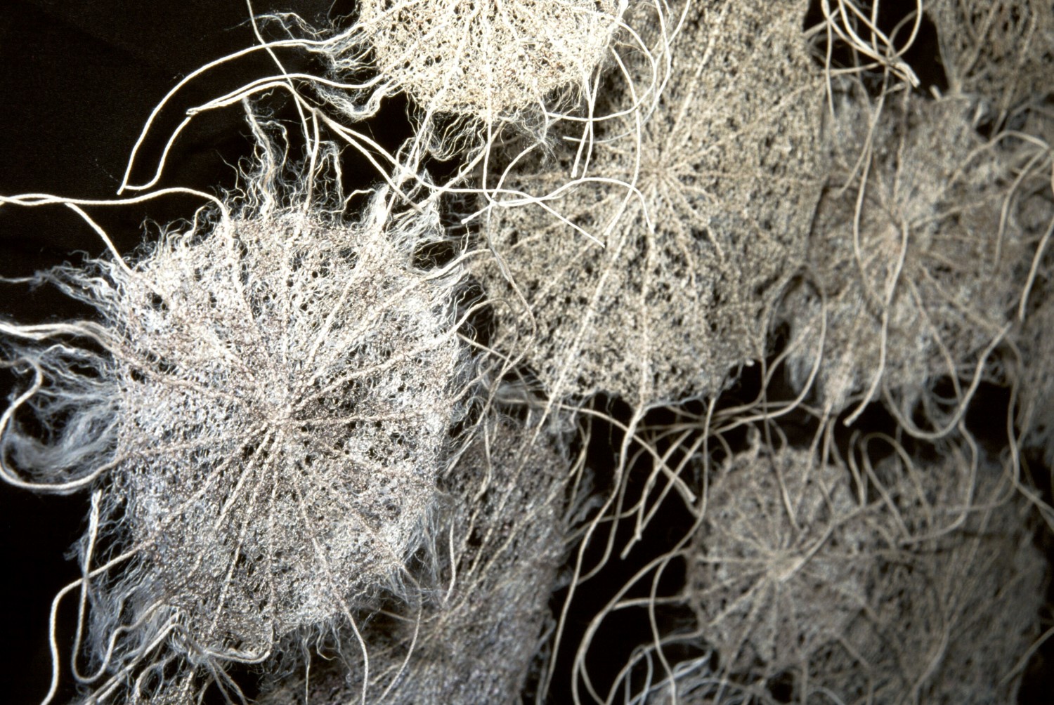 Scabious Paper Moon by Corinne Young - BA (Hons) Textile Design, Bradford College.