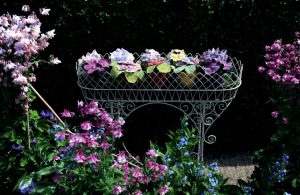 Pot plants by Corinne Young, arranged in a garden plant stand. Photo by Jonathan Gawthorpe for Yorkshire Post Magazine (June 2014).