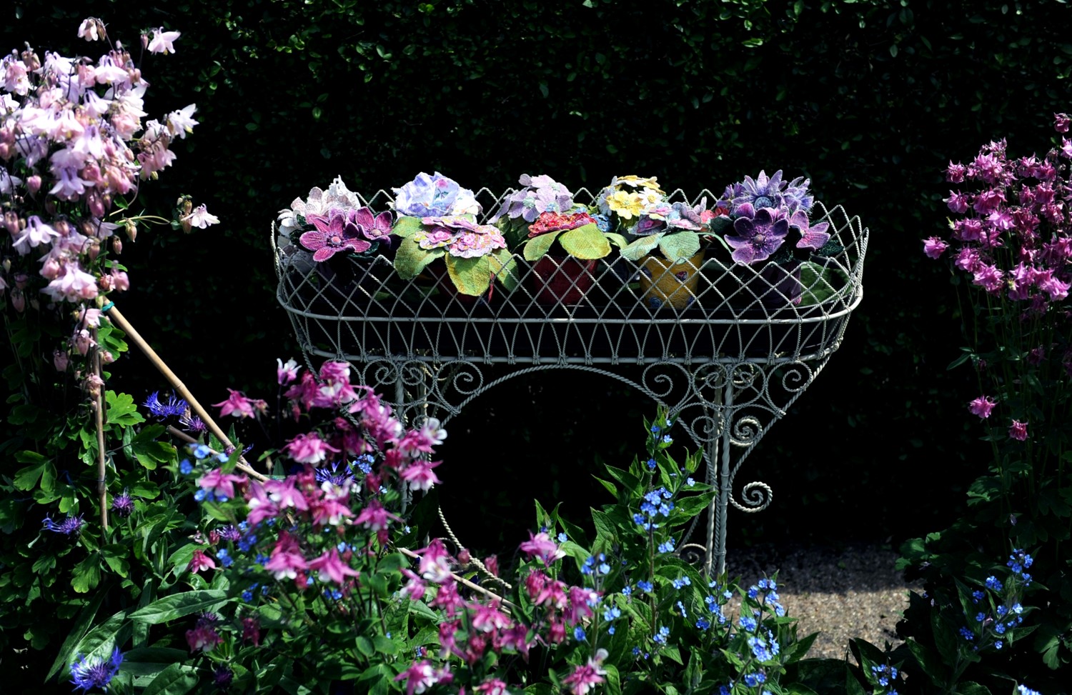 Pot Plants - Yorkshire Post