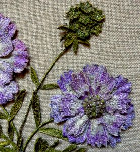 Scabious (Detail) by Corinne Young at RHS Harlow Carr (2016).