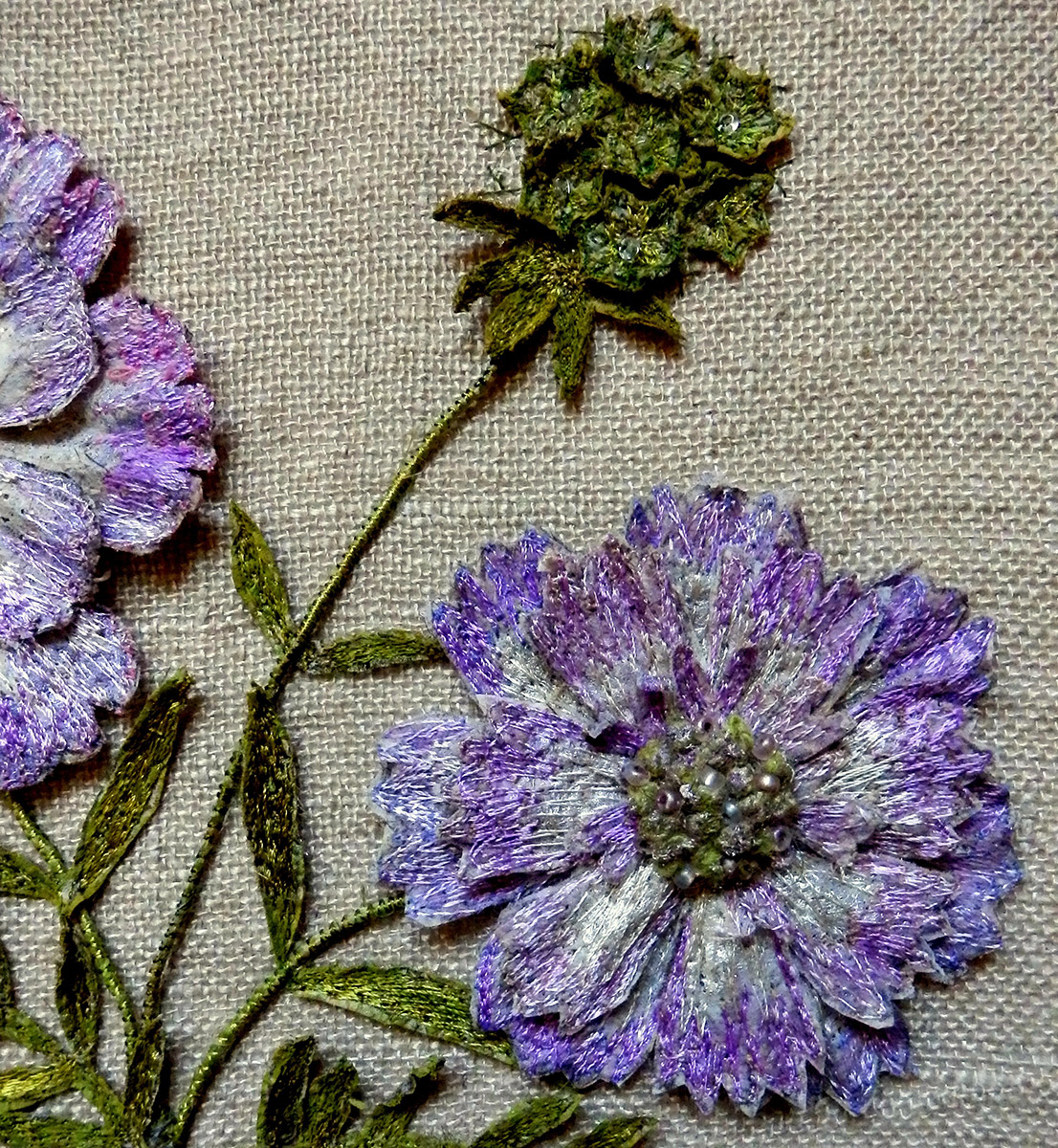 Scabious (Detail) by Corinne Young at RHS Harlow Carr (2016).
