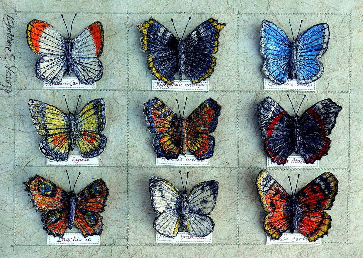 Small Butterfly Collection by Corinne Young at RHS Harlow Carr (2016).