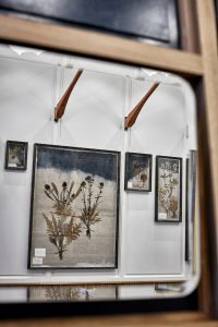 The Modern Pantry (Interior)