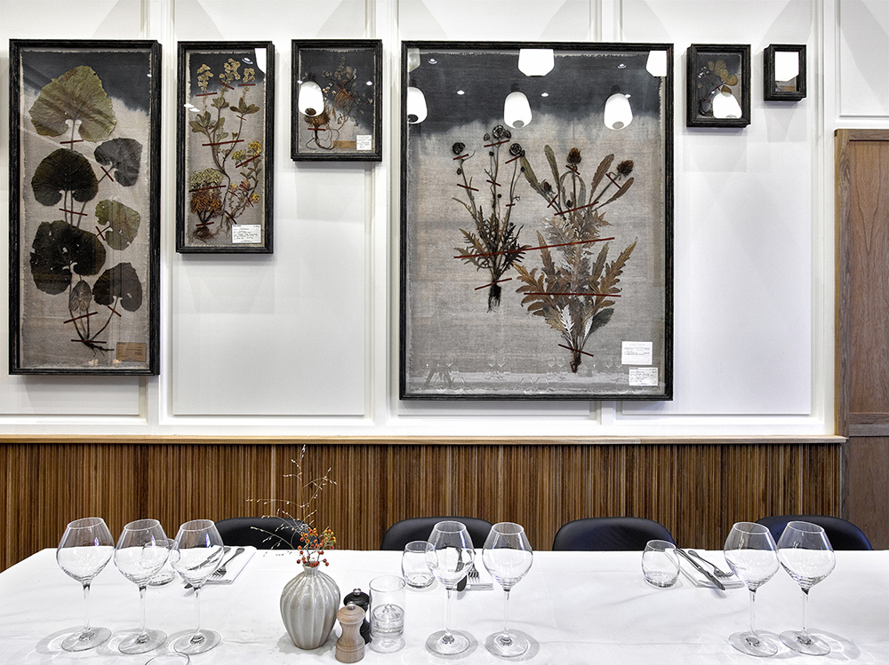 The Modern Pantry (Interior)