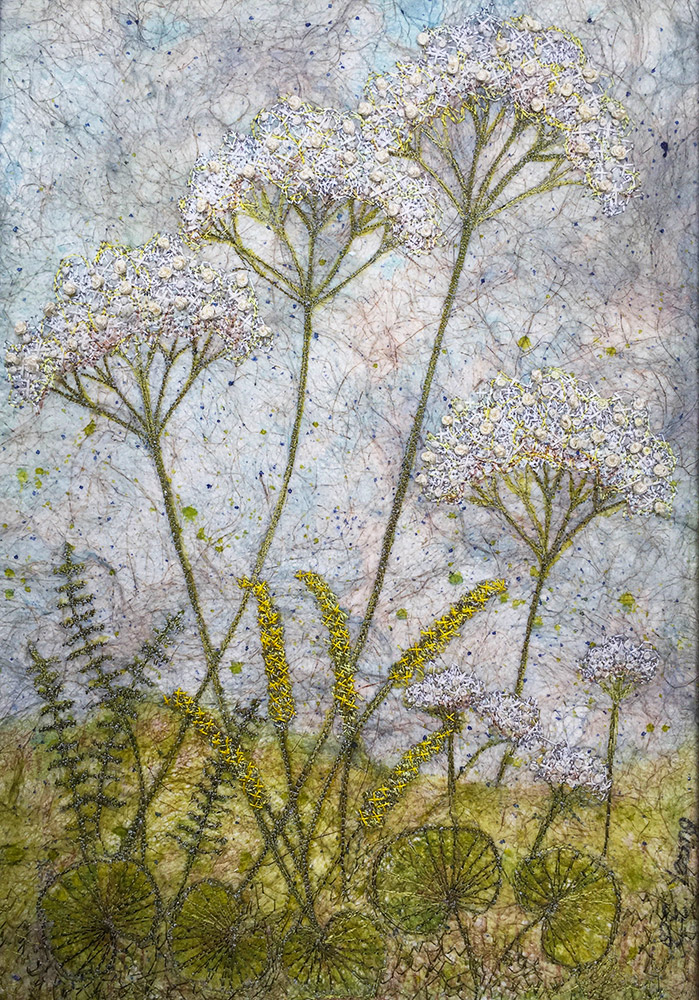 Queen Anne's Lace by Corinne Young - Flora @ Yorkshire Arboretum