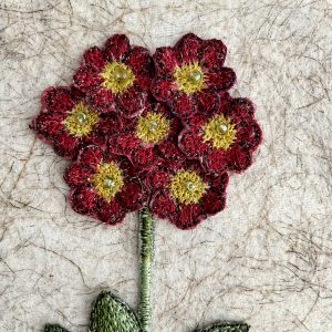 Dark Red Auricula (Detail)