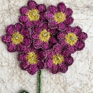 Pink Auricula (Detail)
