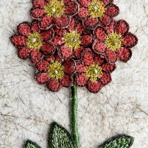 Orange-Red Auricula (Detail)