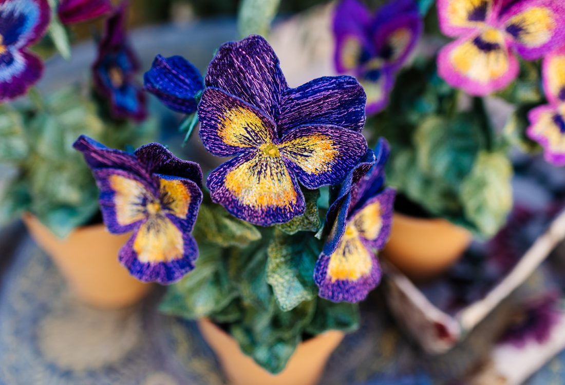 Purple Tricolour Pansy Pot Plant (Spring 2021) by Corinne Young. Photography by the Happy Brand Photographer.