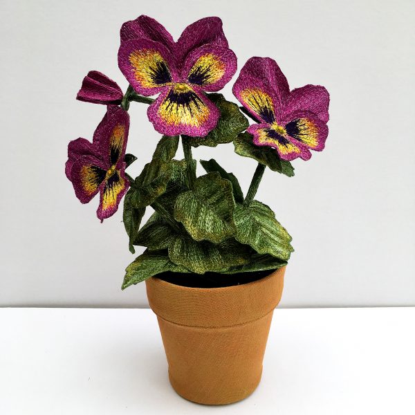 Pansy Pink Tricolour