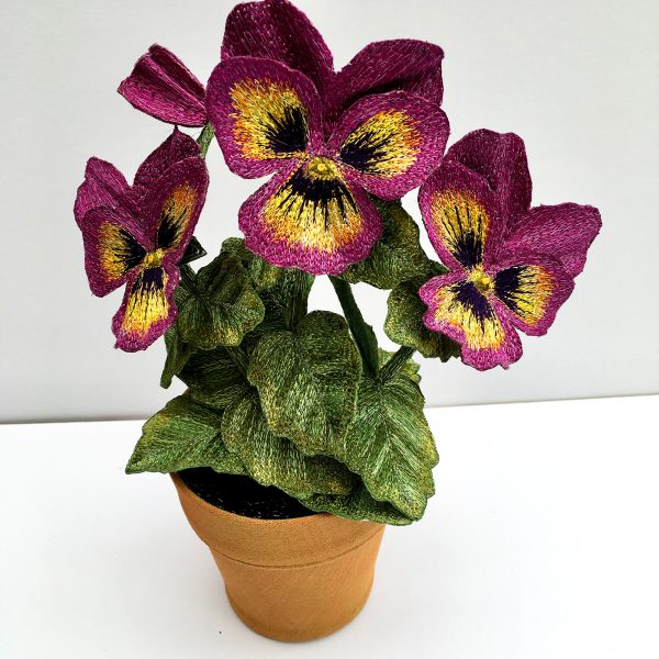 Pansy Pink Tricolour (Top View)