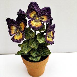 Pansy Purple Tricolour (Top View)