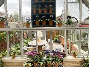 Exhibiting with Griffin Glasshouses at the RHS Chelsea Flower Show