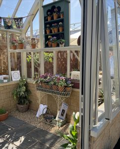 Exhibiting with Griffin Glasshouses at the RHS Chelsea Flower Show