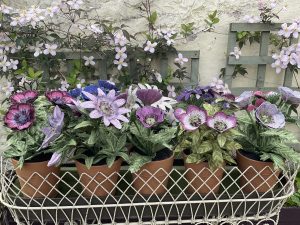 Embroidered Pot Plants - RHS Chelsea Flower Show 2022