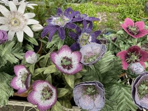 Embroidered Pot Plants - RHS Chelsea Flower Show 2022
