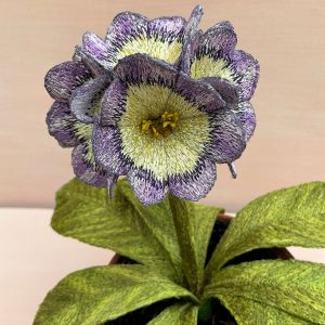 Corinne Young - Auricula Avril Hunter (Detail)