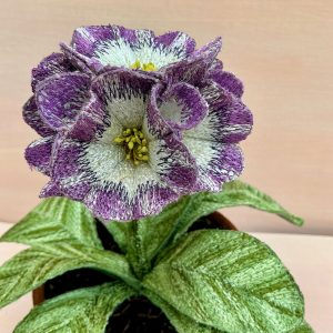 Corinne Young - Auricula Blackberry Crush (Detail)