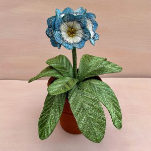Corinne Young - Auricula Blue Skies