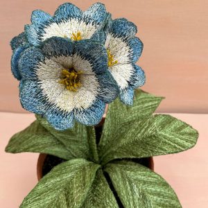 Corinne Young - Auricula Blue Skies (Detail)