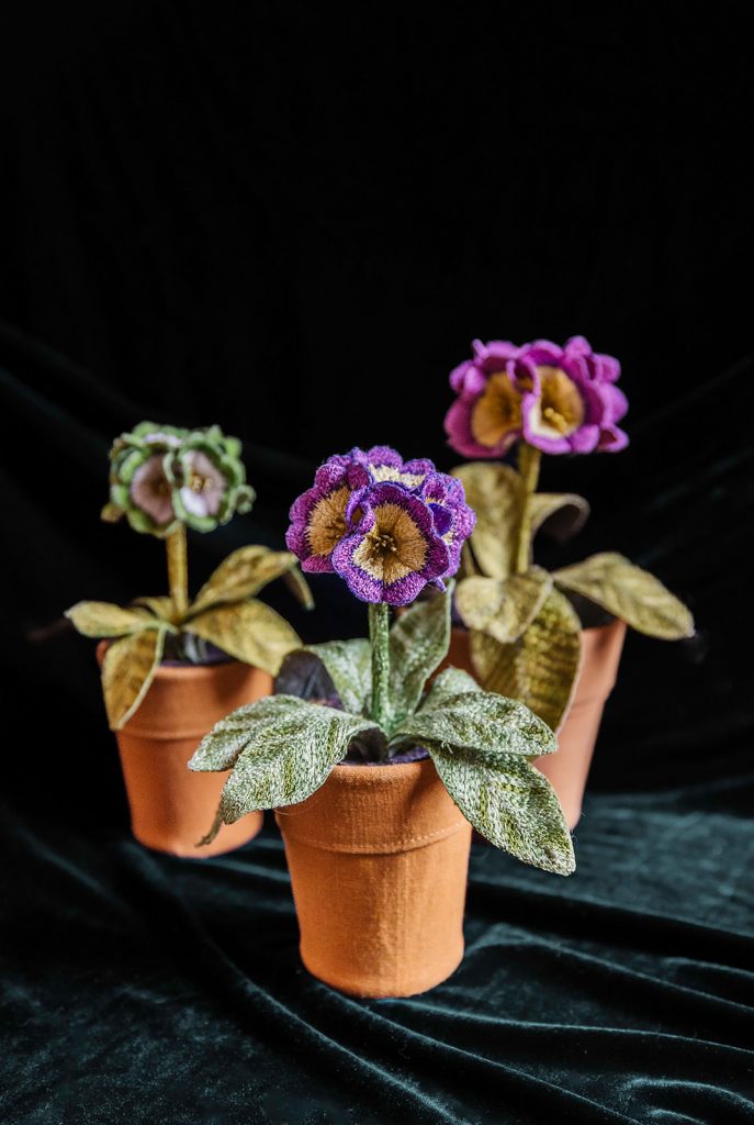 Corinne Young - Auricula Collection Art Print