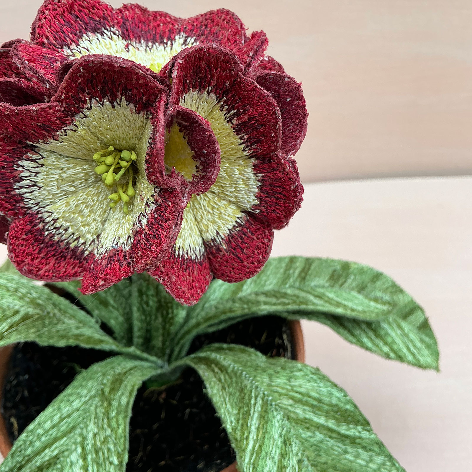 Corinne Young - Auricula Dales Red (Detail)