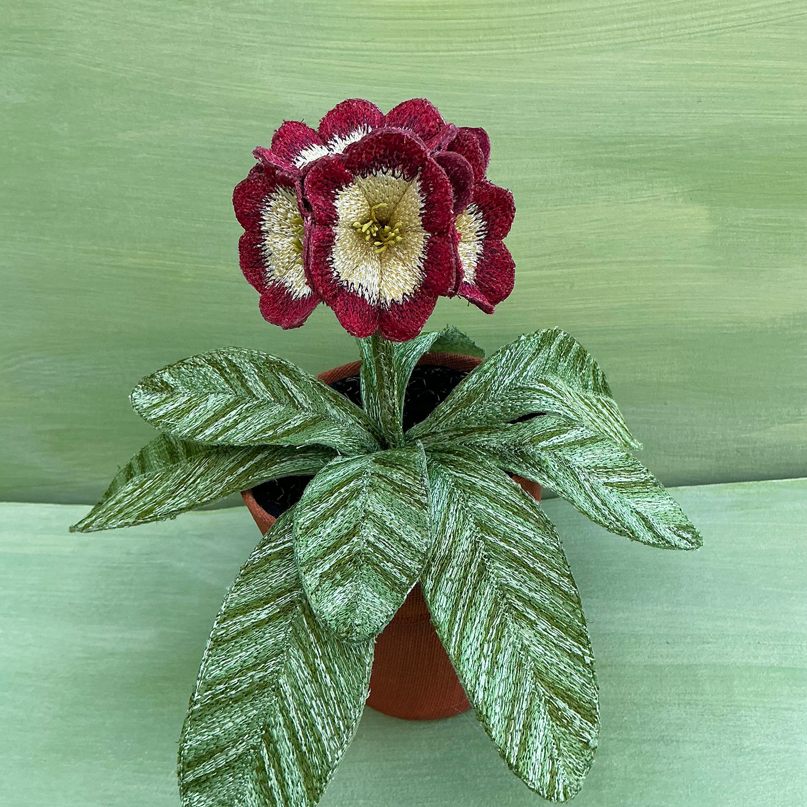 Corinne Young - Auricula Dales Red