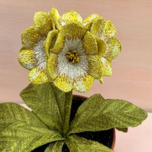 Corinne Young - Auricula Pot of Gold (Detail)