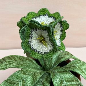 Corinne Young - Auricula Psyche (Detail)