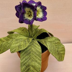 Corinne Young - Auricula Purple Velvet