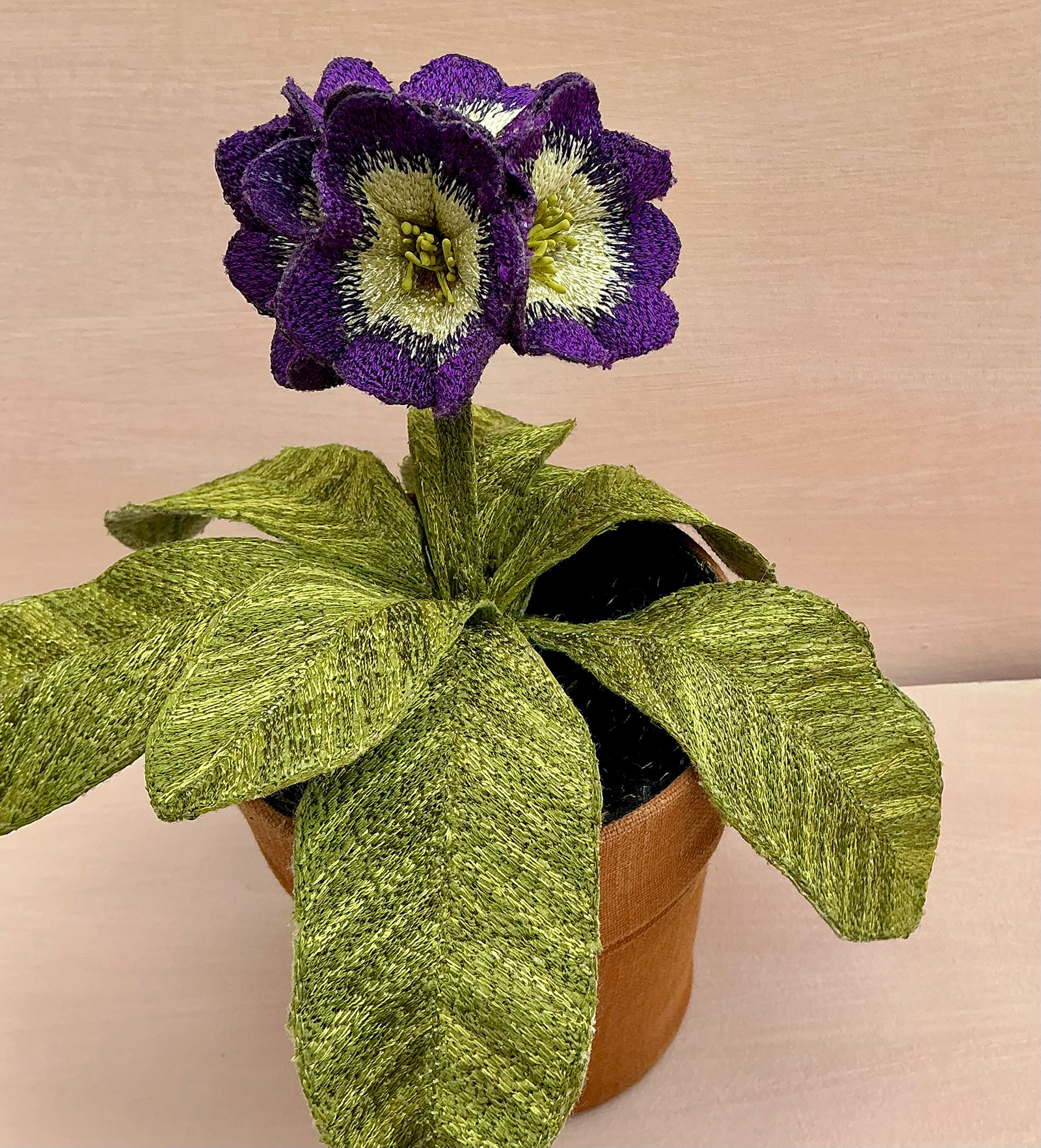 Corinne Young - Auricula Purple Velvet