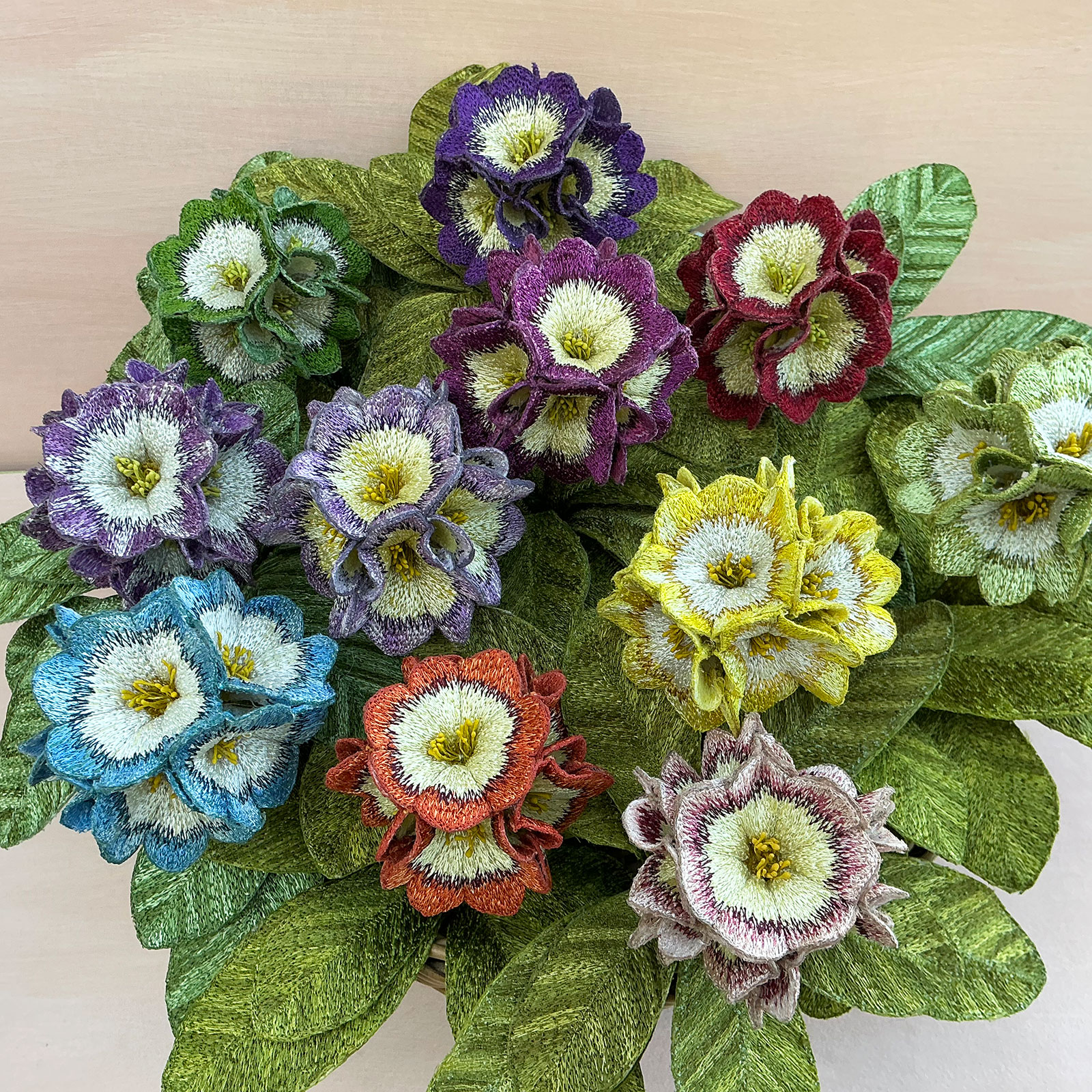 Corinne Young - Auriculas Collection