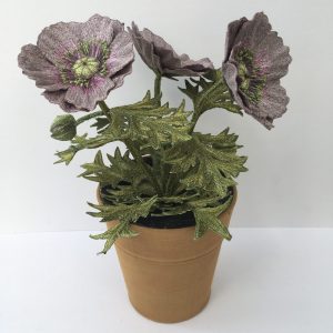 Papaver 'Amazing Grey' - Embroidered Pot Plant by Corinne Young at Bonadea, London