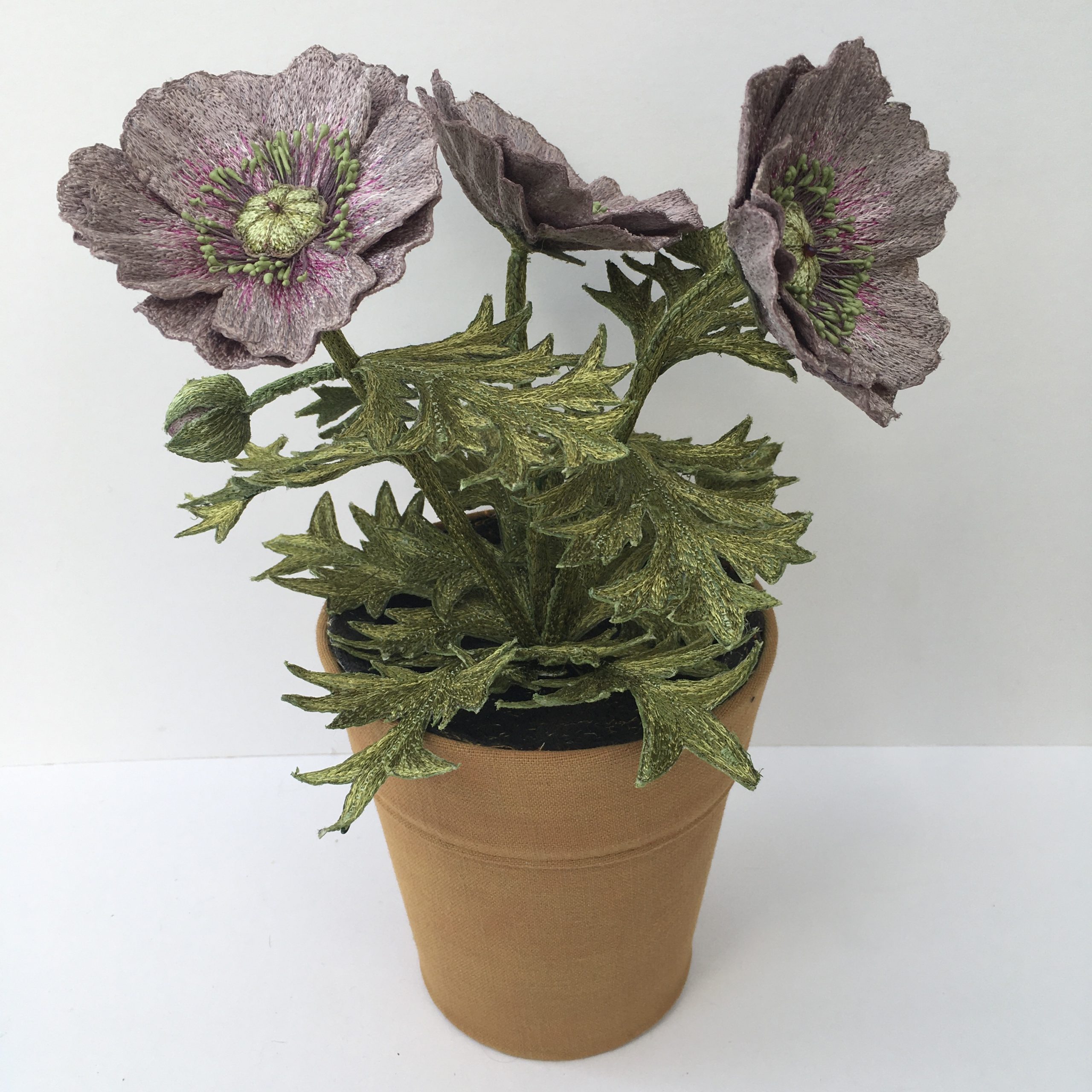 Papaver 'Amazing Grey' - Embroidered Pot Plant by Corinne Young at Bonadea, London
