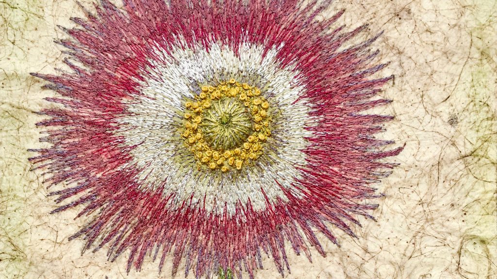 Detail of Hartwort (Papaver Basilius Besler) by textile artist Corinne Young.