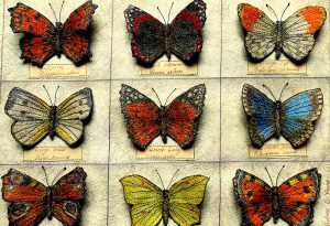 Embroidered butterfly collection by textile artist Corinne Young, featured in Creative With Workbox Magazine (April 2016).