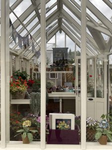 Exhibiting at the RHS Chelsea Flower Show, with Griffin Glasshouses.