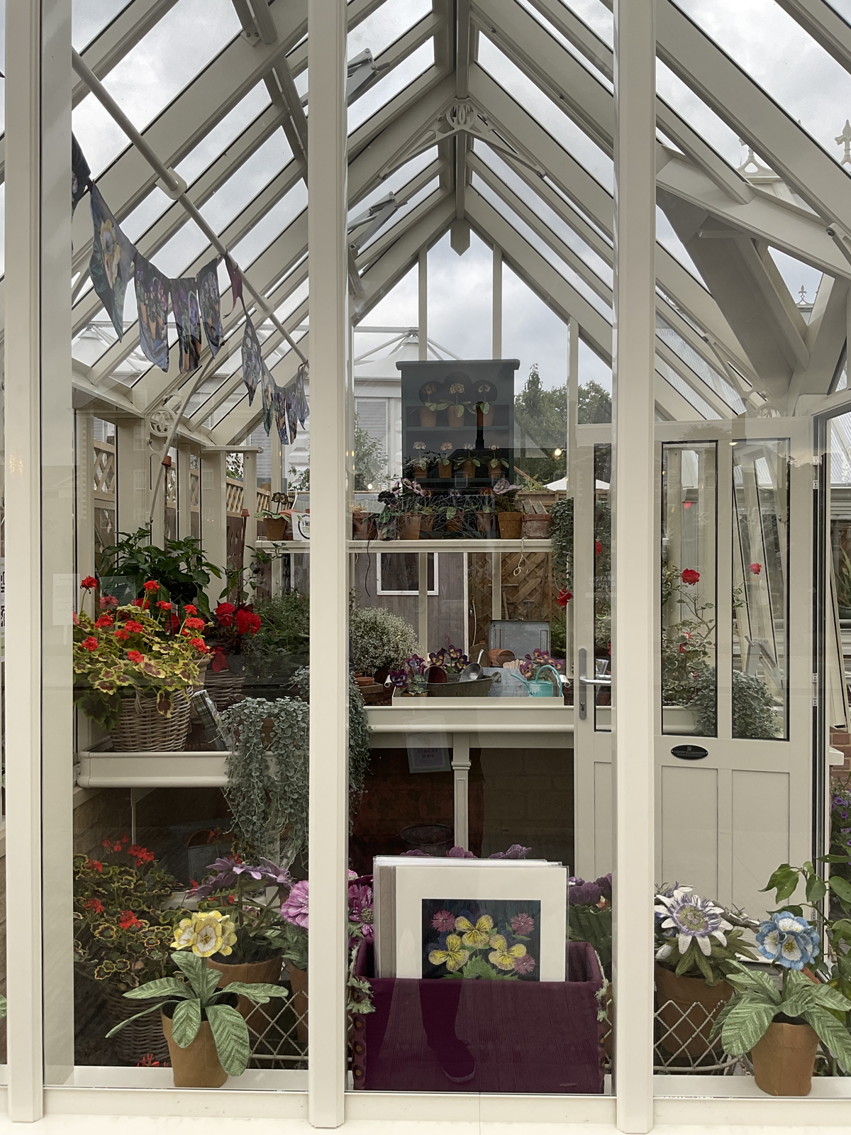 Exhibiting at the RHS Chelsea Flower Show, with Griffin Glasshouses.